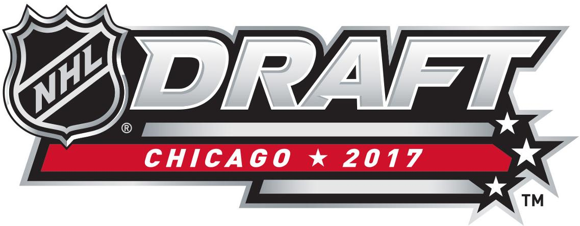 NHL Draft 2017 Alternate Logo DIY iron on transfer (heat transfer)